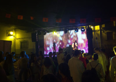 Fiesta disfraces medicina ANDOSILLA