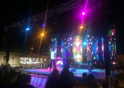 Noche Fiestas en CAPARROSO