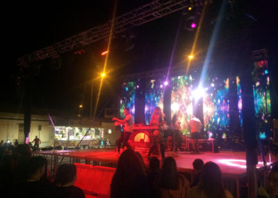 Noche Fiestas en CAPARROSO